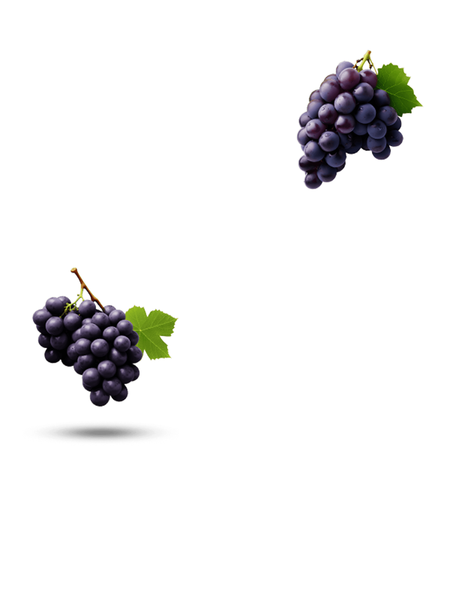 Grape